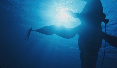 深圳IP设计：分析阿凡达水之道图鲲的IP设计